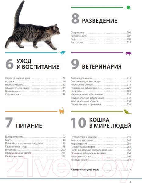 Изображение товара Энциклопедия Эксмо Кошки. Самая полная иллюстрированная энциклопедия (Дудникова С. и др)