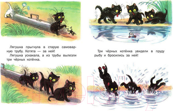 Изображение товара Книга АСТ Сказки (Сутеев В.)