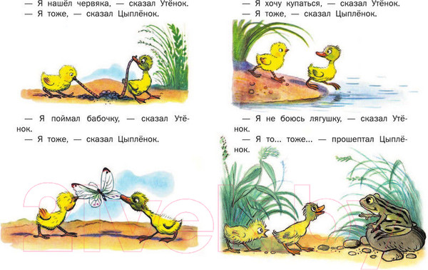 Изображение товара Книга АСТ Сказки (Сутеев В.)