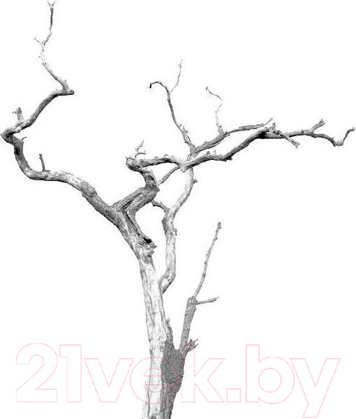 Изображение товара Книга Эксмо Чудовище с улицы Розы (Веркин Э.)