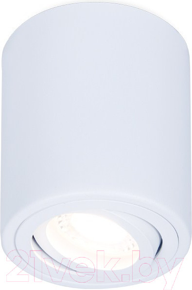 Изображение товара Точечный светильник Ambrella TN225 WH (белый)