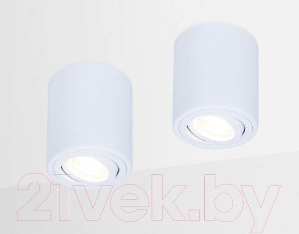 Изображение товара Точечный светильник Ambrella TN225 WH (белый)