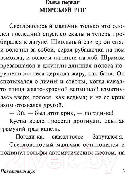 Изображение товара Книга АСТ Повелитель мух (Голдинг У.)