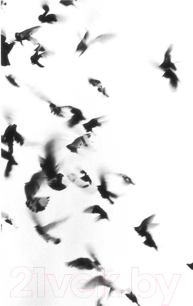 Изображение товара Книга Эксмо Жутко громко и запредельно близко (Фоер Дж.)