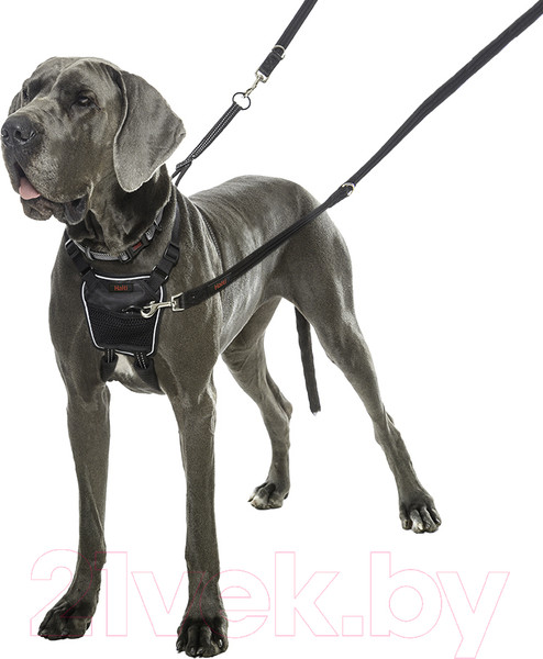 Изображение товара Шлея Halti No Pull / 15320B (черный)