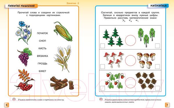 Изображение товара Учебное пособие Махаон Грамотейка. Интеллектуальное развитие. Для детей 5-6 лет (Земцова О.)