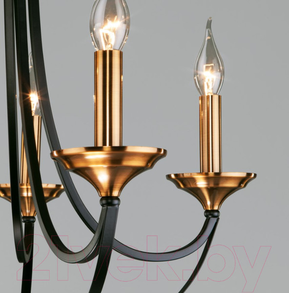 Изображение товара Люстра Евросвет 60098/5 (черный)