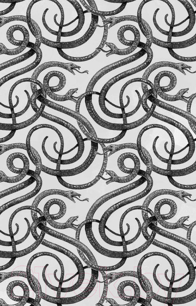 Изображение товара Книга Эксмо Школа добра и зла. В поисках славы (Чайнани С.)