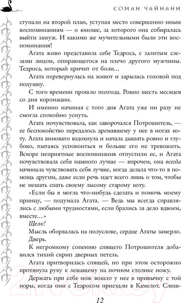 Изображение товара Книга Эксмо Школа добра и зла. В поисках славы (Чайнани С.)