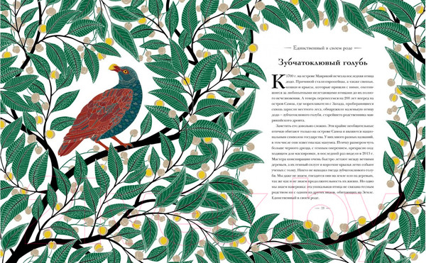 Изображение товара Энциклопедия Махаон Книга исчезающих животных для неравнодушных сердец (Маротта М.)