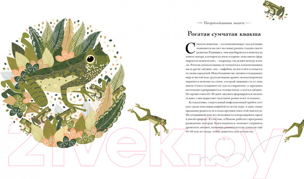 Изображение товара Энциклопедия Махаон Книга исчезающих животных для неравнодушных сердец (Маротта М.)