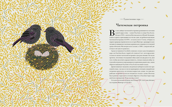 Изображение товара Энциклопедия Махаон Книга исчезающих животных для неравнодушных сердец (Маротта М.)