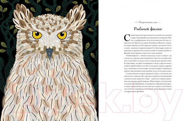 Изображение товара Энциклопедия Махаон Книга исчезающих животных для неравнодушных сердец (Маротта М.)