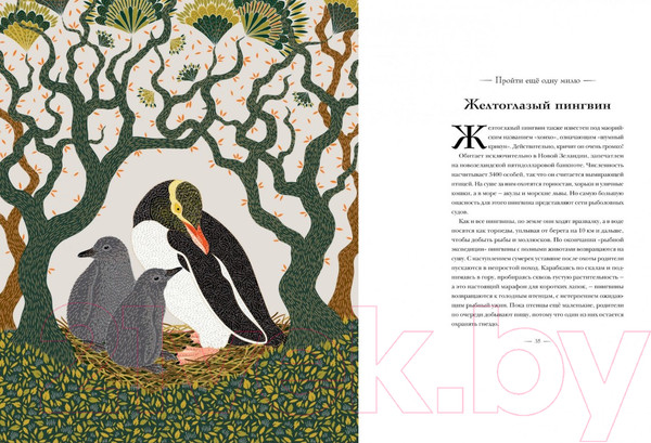 Изображение товара Энциклопедия Махаон Книга исчезающих животных для неравнодушных сердец (Маротта М.)