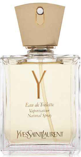Изображение товара Туалетная вода Yves Saint Laurent Y (100мл)