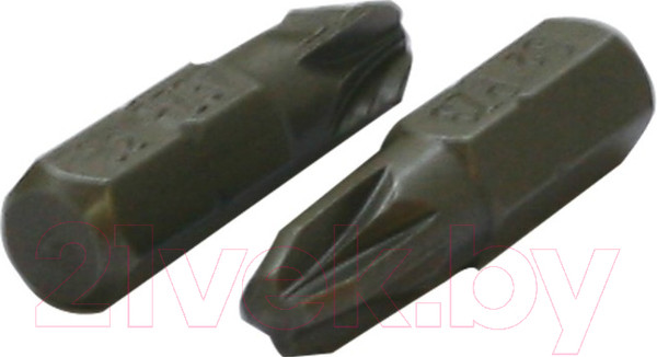 Изображение товара Набор бит Калибр 2006 (24шт)