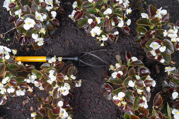 Изображение товара Культиватор ручной Tornadica Mini TOR-32MCUL