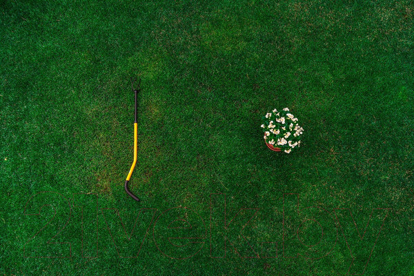 Изображение товара Культиватор ручной Tornadica Mini TOR-32MCUL