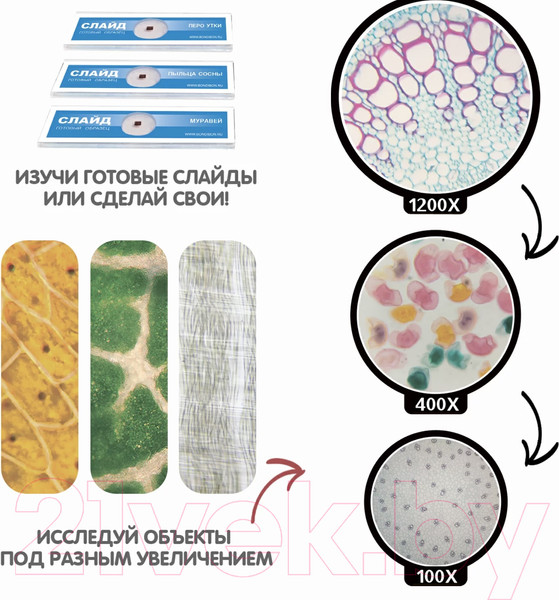 Изображение товара Микроскоп оптический Bondibon Французские опыты. Науки с Буки. Микроскоп / ВВ4200