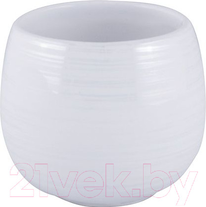 Изображение товара Стакан для зубной щетки и пасты AWD Interior AWD02190992