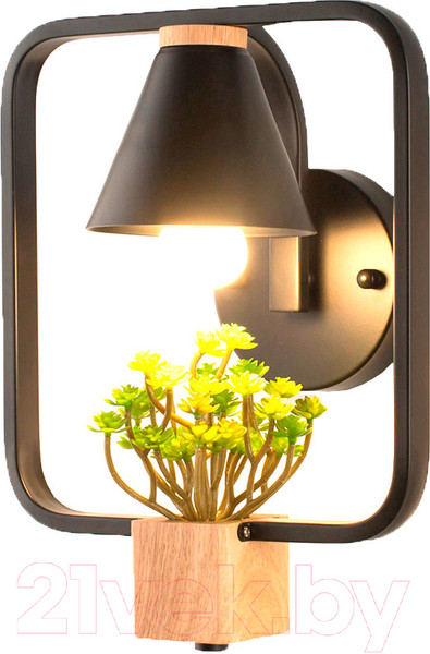 Изображение товара Бра Home Light Астерия B149-6-B (черный)