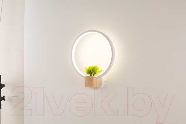 Изображение товара Бра Home Light Астерия C056-1-W (белый)