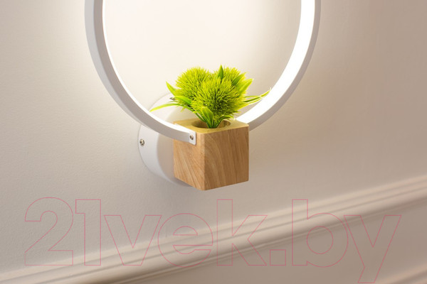 Изображение товара Бра Home Light Астерия C056-1-W (белый)