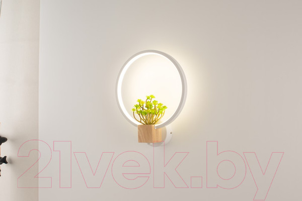 Изображение товара Бра Home Light Астерия C056-2-W (белый)