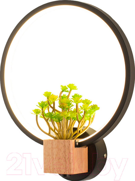 Изображение товара Бра Home Light Астерия C056-2-B (черный)