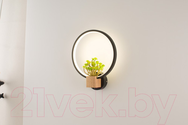 Изображение товара Бра Home Light Астерия C056-2-B (черный)