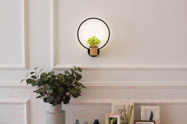 Изображение товара Бра Home Light Астерия C056-2-B (черный)