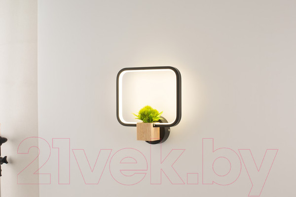 Изображение товара Бра Home Light Астерия C056-3-B (черный)