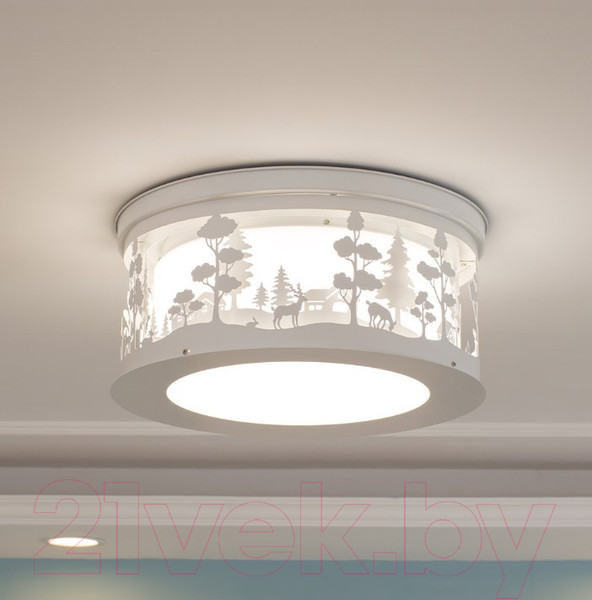 Изображение товара Потолочный светильник Home Light Астерия D009-2 (белый)