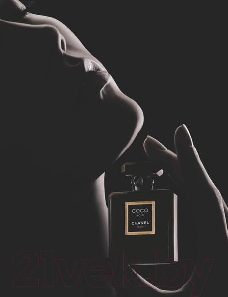 Изображение товара Парфюмерная вода Chanel Coco Noir (50мл)