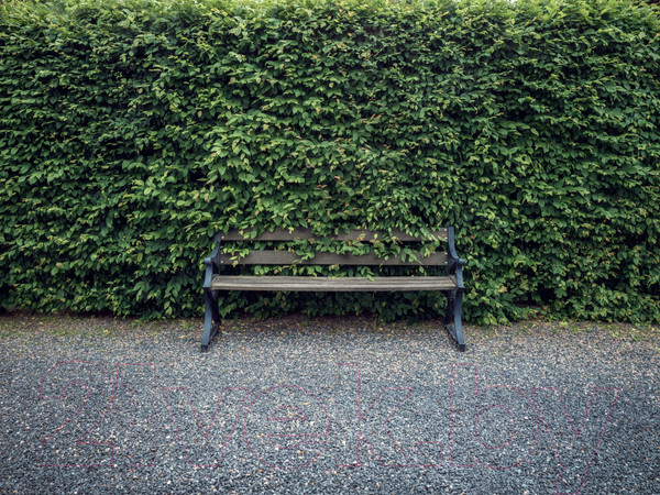 Изображение товара Кусторез бензиновый Husqvarna 522HD60X (967 65 87-01)