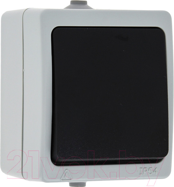 Изображение товара Выключатель КС Дабрабыт ОП 10А IP54 / 74841 (серый)