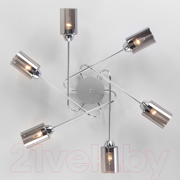 Изображение товара Люстра Евросвет 30167/6 (хром)