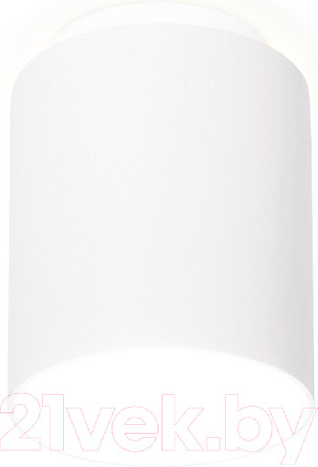 Изображение товара Точечный светильник Ambrella TN260 WH/S (белый/песок)