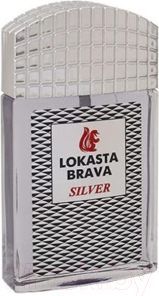 Изображение товара Туалетная вода Positive Parfum Lokasta Brava Silver for Men (100мл)