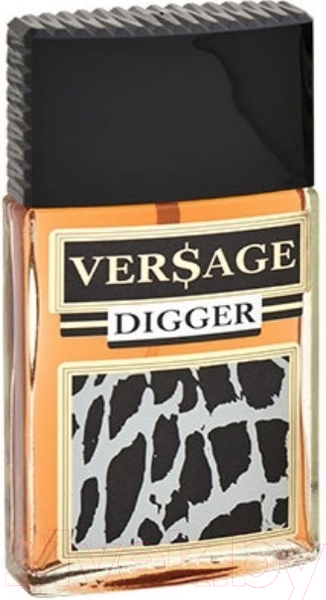 Изображение товара Туалетная вода Positive Parfum Versage Digger for Men (100мл)