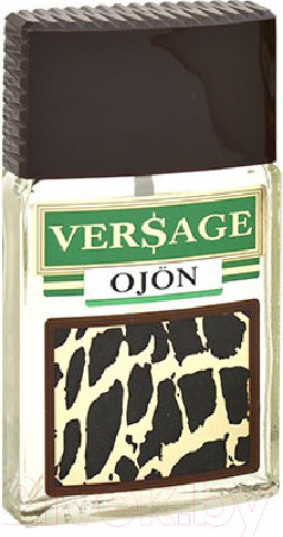 Изображение товара Туалетная вода Positive Parfum Versage Ojon for Men (100мл)