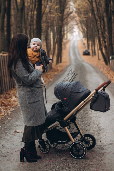 Изображение товара Детская универсальная коляска Carrello Epica 2 в 1 / CRL-8510/1 (Almond Beige)