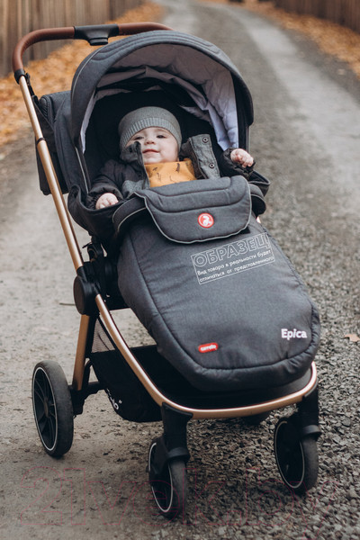 Изображение товара Детская универсальная коляска Carrello Epica 2 в 1 / CRL-8510/1 (Almond Beige)