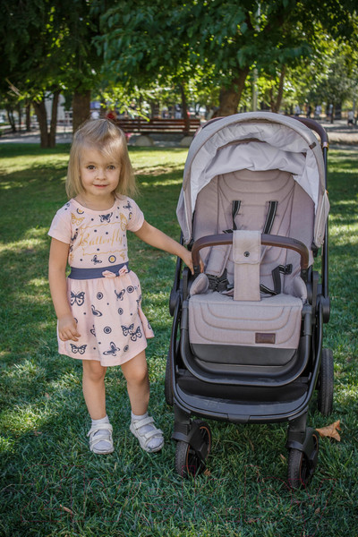 Изображение товара Детская универсальная коляска Carrello Epica 2 в 1 / CRL-8510/1 (Almond Beige)