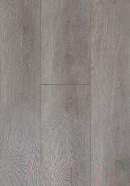 Изображение товара Ламинат Tarkett Taiga Первая Сибирская Ясень серый