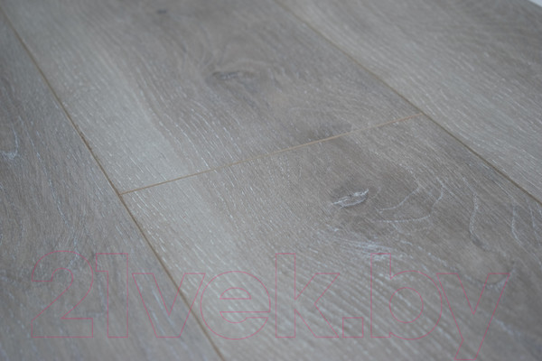 Изображение товара Ламинат Tarkett Taiga Первая Сибирская Ясень серый