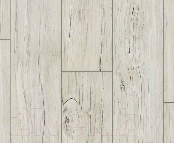 Изображение товара Ламинат Kastamonu Floorpan Black Дуб Кадьяк (FP853)