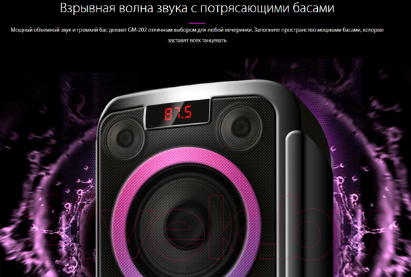 Изображение товара Портативная колонка Ginzzu GM-202