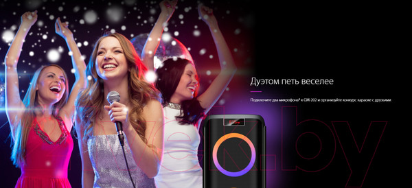 Изображение товара Портативная колонка Ginzzu GM-202