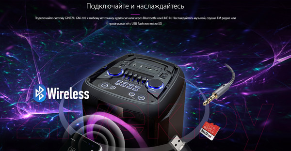 Изображение товара Портативная колонка Ginzzu GM-202